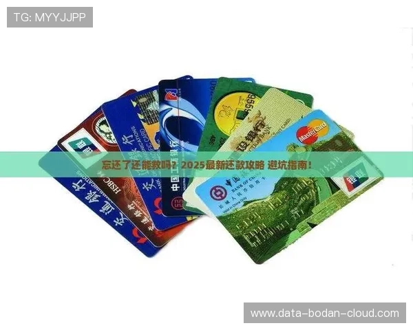 开云买波胆限制多少 避坑指南与极速提现秘诀